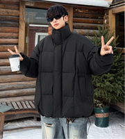 Veste d'hiver imperméable à capuche en duvet pour homme, modèle 2025, de marque, pour l'extérieur, de haute qualité, décontractée, avec fermeture éclair, grande taille, style Drum