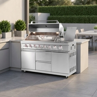 Barbecue à gaz 6 brûleurs en acier inoxydable 304 avec brûleur latéral, allumage électronique, cuisine extérieure intégrée