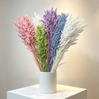Fleur séchée Phalaris délicat à l'allure de lame d'herbe, non toxique, couleur fixée, faible MOQ, directement de l'usine, pour la décoration murale intérieure