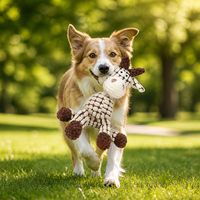 Jouet en peluche personnalisé durable et couineur en coton, motif dessin animé mignon, résistant aux morsures pour chiens agressifs