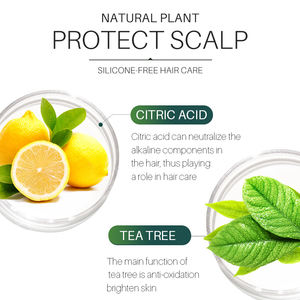 Shampoo à l'huile d'arbre à thé Naturalon, idéal pour la dermatite séborrhéique - Product Image 4