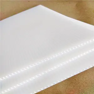 Customized Hollow Board Manufacturer 2-8mm Thick Waterproof Cuttable Pattern Pp Polypropylene Corrugated Wholesale Correx Sheet