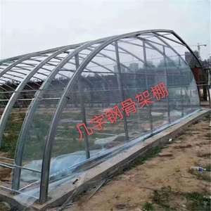 Оптовая продажа, одиночная оцинкованная стальная конструкция, полиэтиленовая пленка, сельскохозяйственные теплицы для растений клубники - Product Image 2