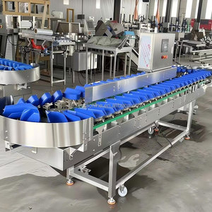 Trieuse pondérale automatique à grande échelle pour huîtres, fruits de mer, pommes de terre, oignons, pommes et poissons - Product Image 1