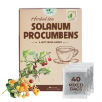 Sélection de Boissons aux Herbes OEM ODM Thé de Solanum Procumbens Boisson Saine Séchée 40 Sachets de Thé Premium 2g
