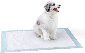 Les fabricants promeuvent les coussinets absorbants portables pour animaux de compagnie en tissu, exportations croissantes de manière considérable depuis 5 ans - Product Image 3