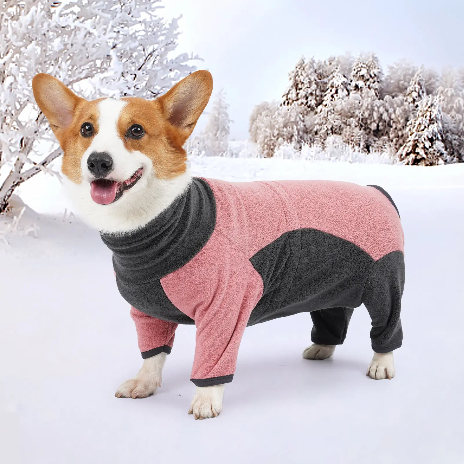 Suppléments pour chiens Vêtements pour chiens Hiver Moyen Grand Chien Épaissi Froid Coton Vêtements Vêtements pour animaux de compagnie