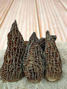 Funghi Morchella Esculenta Essiccati di Alta Qualità, Dimensione 3-5cm - Product Image 6