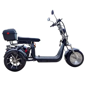 EHoodax EB-05WQ שלושה גלגלים גדול צמיג Trike תלת אופן למבוגר Citycoco 3 גלגל קטנוע חשמלי 1500W/2000W שומן אופני צמיג