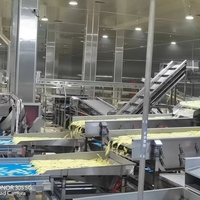 Geavanceerde productielijn voor diepvries frites, aardappelstokjes en crinkle chips: schillen, snijden, blancheren en frituren (200 kg/u, 300 kg/u, 500 kg/u)