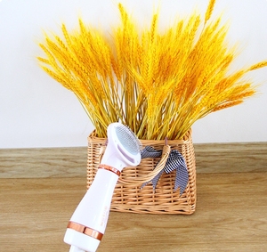 Spazzola Asciugacapelli 2-in-1 per Animali Domestici, Vendita Calda 2025, per Toelettatura Interna di Animali Grandi, Medi e <span class=keywords><strong>Piccoli</strong></span>, Realizzata in Materiale Durevole - Product Image 5