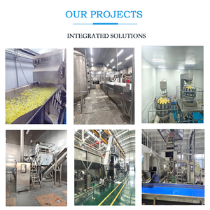 Ligne de production de frites automatique haute performance pour légumes, usage industriel, 1000-10000 kg/h, marque Sensitar, zone sans variation de température - Product Image 3