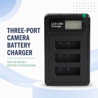Cargador de Batería USB para Cámara NP-FV100, Base de Carga Individual Portátil para FV70 FV50 FV30, Venta al por Mayor de Fábrica con 15 Años de Experiencia, OEM Personalizado