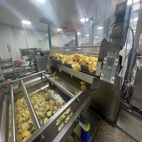 Máquina Automática para Freír Papas Fritas, 300-800 kg/h, para Papas Fritas, Galletas de Camarón, Plátano, Patata, Freidora Continua de Fábrica