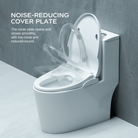 Siège de toilette chauffant non électrique Dayao avec bidet intégré, buses autonettoyantes, installation facile, design moderne, allongé