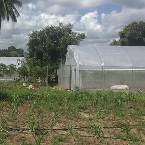 Personnalisé Unique Tunnel En Acier Tuyau arc <span class=keywords><strong>Serre</strong></span> Utilisée À Vendre/Maison De Cerceau - Product Image 5