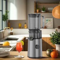 Extracteur de jus à froid à mastication lente 250W avec goulotte large pour fruits et légumes, usage commercial