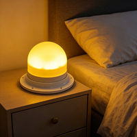 Ampoule LED décorative rotative de 120 mm (4,7 pouces) avec base détachable pour meubles de bar LED