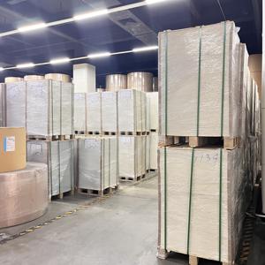 Carton FBB de haute qualité 300/350 g/m² C1S pour boîtes - Product Image 4