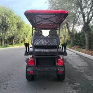 Voiturette de golf du fabricant, véhicule de tourisme solaire pour parcours de golf, club-house et zone de réception, buggy de golf - Product Image 6
