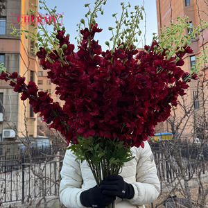 DC126 Décoration florale géante en soie, <span class=keywords><strong>Delphinium</strong></span> rouge foncé, tige de fleur artificielle, Jacinthe 120CM, Fleurs de <span class=keywords><strong>Delphinium</strong></span> - Product Image 1