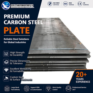 Q345B S355JR Cold Rolled Cold Rolled Shot Blasting ASTM A572 Carbon Steel Plate for Bridge Fabrication - Product Image 1