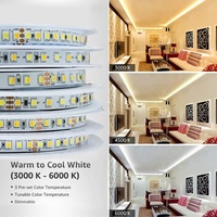 Tira de Luces LED USB SMD 2835 IP67 de 12 V y 60 LED, 6500 K CCT, Flexible, Regulable, con Control Remoto/Wi-Fi