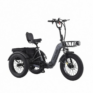 Tricycle électrique pliable miniature de 20 pouces sans balais |   Cadre en alliage à double couche |   Batterie intégrée |   Moteur de moyeu arrière 500W |   Pneu large | - Product Image 1