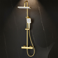 Ensemble de douche thermostatique à deux fonctions, compatible avec la personnalisation OEM, pour salle de bain