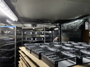 Din444 din985 din557 <span class=keywords><strong>8</strong></span> m6x10 1 din15 U M8 smtso 2 Nut nut16 <span class=keywords><strong>3</strong></span> <span class=keywords><strong>t</strong></span> k ecrou J din84 nutc nult nutr hạ<span class=keywords><strong>t</strong></span> M8 M8 NUT - Product Image 3