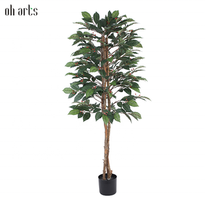 Gran oferta, 160cm, 63 pulgadas, árbol <span class=keywords><strong>de</strong></span> <span class=keywords><strong>cacao</strong></span> artificial decorativo, árbol <span class=keywords><strong>de</strong></span> café artificial para sala <span class=keywords><strong>de</strong></span> estar, balcón, esquina, decoración <span class=keywords><strong>de</strong></span> oficina - Product Image 1