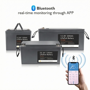 แบตเตอรี่ลิเธียมสำหรับเก็บพลังงานภายในบ้าน 12v 24v พร้อมระบบจัดการแบตเตอรี่ (BMS)  แบตเตอรี่ Lifepo4 100ah 200ah 300ah แบตเตอรี่พลังงานแสงอาทิตย์ - Product Image 3