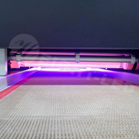 Système de lampe UV Excimer 172 nm pour le traitement des surfaces mates des parquets, finition douce au toucher, haute uniformité, contrôle de l'azote