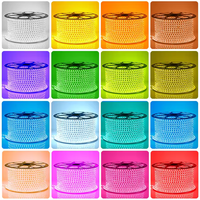 Bande lumineuse LED intelligente Tuya App Control 220V 12mm IP67 en cuivre pour aménagement paysager, 96 LED/m RGB Epistar 20W, dimmable