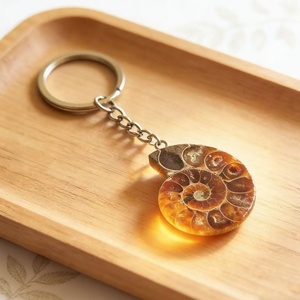 Porte-clés Fossile d'Ammonite de Madagascar, Demi-tranche Polie, Spécimen de Coquille de Nautilus, Cristal, Pendentif de Sac pour Cadeau Souvenir - Product Image 3