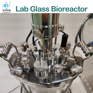 Laboratory Glass <strong>Bioreactor</strong> <strong>Fermenter</strong> Tank for Culture Grow - Product Image 2