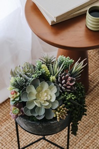 สารอวบน้ําประดิษฐ์สร้างการจัดเรียงสารอวบน้ําที่สมจริง 15Pack พืชอวบน้ําปลอมพื้นผิวเทียมและสมจริง DIY - Product Image 6