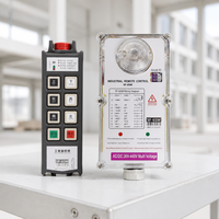 Control Remoto Inalámbrico Industrial Antiinterferencias de 6 Direcciones con Bloqueo de Seguridad AC/DC 36V-440V para Grúa Puente