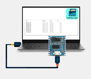 โมดูลเสียง DY-SV19R เครื่องเล่น MP3 ขนาดเล็ก ทริกเกอร์ IO ดาวน์โหลดผ่าน USB โมดูลเสียงแฟลช อัปเกรดจากรุ่น SV17F - Product Image 6