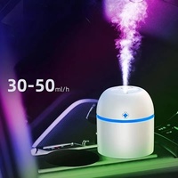 Nouveau Mini Humidificateur Diffuseur d'Arômes Purificateur USB Lucky Grass pour Maison Voiture Bureau Camping-Car Hôtel avec Alimentation Électrique et Cadeau Parfum