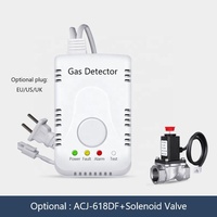 Système d'alarme incendie domestique méthane Propane gpl alarme de gaz naturel détecteur de fuite de gaz domestique avec électrovanne d'arrêt