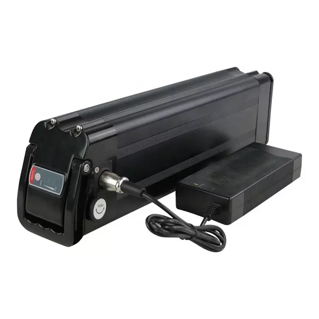 Powerful Li Ion Battery Pack 48V 20.4ah Rechargeable Electric Bike Battery Silver Fish