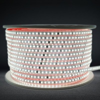 Bande lumineuse LED extérieure 100 mètres, AC 220V, 2835, 120 LED/m, 10 mm, 10 cm/coupe, IP67, étanche, 3000k, 4000k, 6500k, blanche