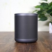 Penutup Speaker Jaring Berlubang dari Baja Tahan Karat dengan Lubang Bulat untuk Layar, Desain Tahan Lama dan Kokoh
