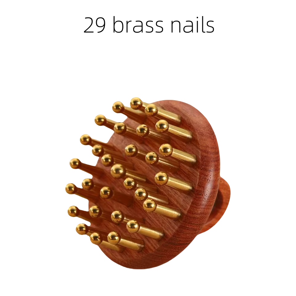 modèles 6