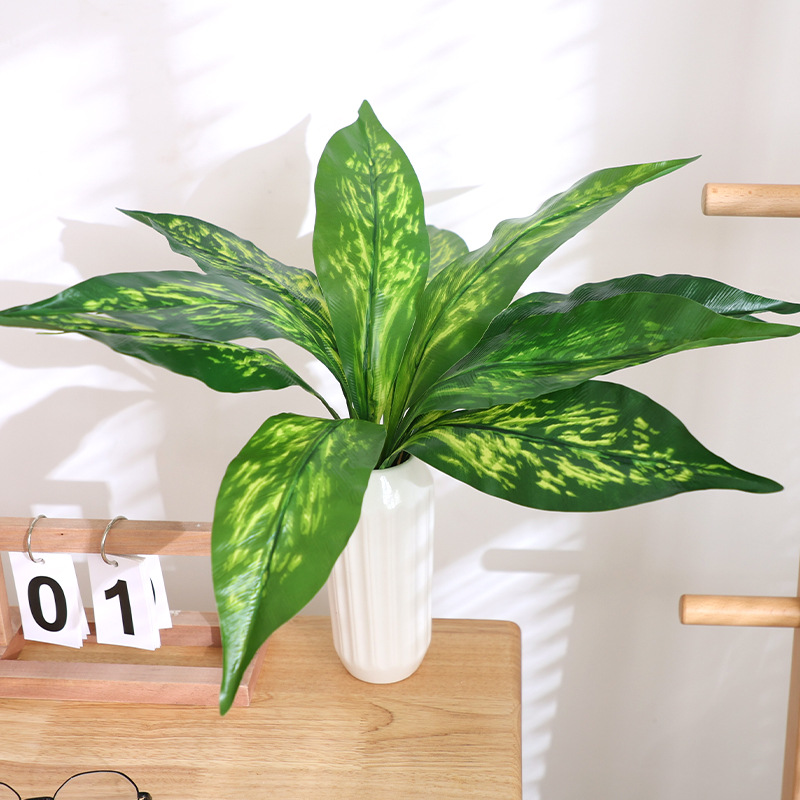 ใบมังกรเขียว