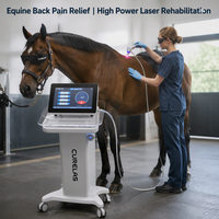 Appareil de thérapie laser portable de classe 4 haute puissance pour la physiothérapie humaine, équine et vétérinaire des petits animaux