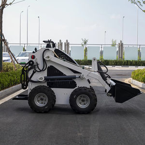 खेत और बगीचे के लिए गैसोलीन इंजन के साथ गर्म बिक्री से अनुमोदित मिनी स्किड स्टीड लोडर - Product Image 1