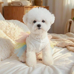 PETCIRCLE Novedades Primavera/Verano: Ropa y Accesorios para Perros y Gatos, Vestido de Tul con Diseño de Conejo Arcoíris para Pascua - Product Image 3