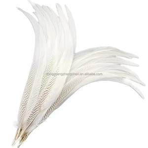 Chất Lượng Cao 15-80 Cm Nhuộm Bạc Gà lôi Đuôi Lông Cho Đám Cưới Bên DIY Thủ Công Mỹ Nghệ Carnivals - Product Image 5